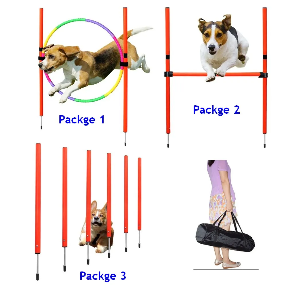Equipo agilidad perros portátil: saltos y postes para entrenar fuera