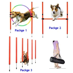 Equipo agilidad perros portátil: saltos y postes para entrenar fuera