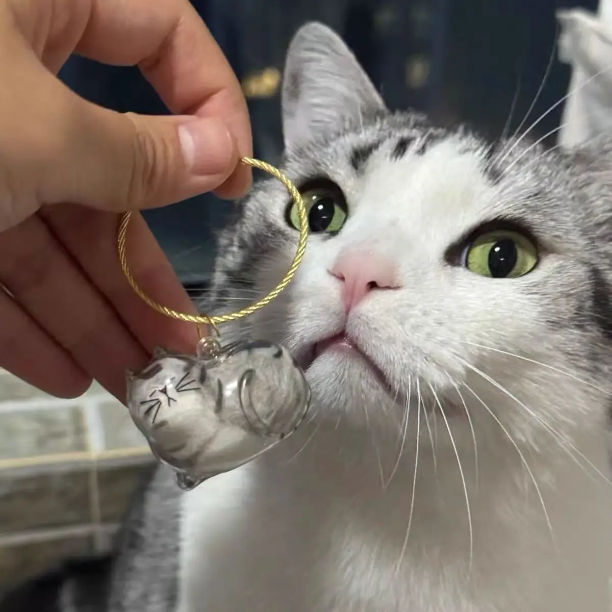 Colgante para pelo de gato – cápsula recogedora, recuerdo de mascota