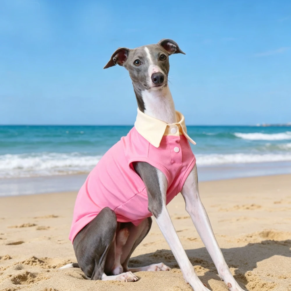 Camiseta sin mangas para Galgo Italiano y Whippet – Verano canino