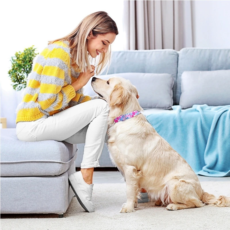 Collar de nailon para perro, Collar ajustable con estampado Floral para cachorro, productos para mascotas para perros pequeños, medianos y grandes, artículo para Chihuahua Bulldog Francés - imagen 2