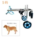 S size