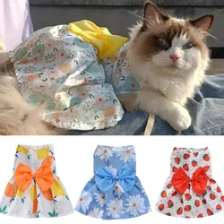 Vestido verano fino para gato Sphynx – estampado Garfield