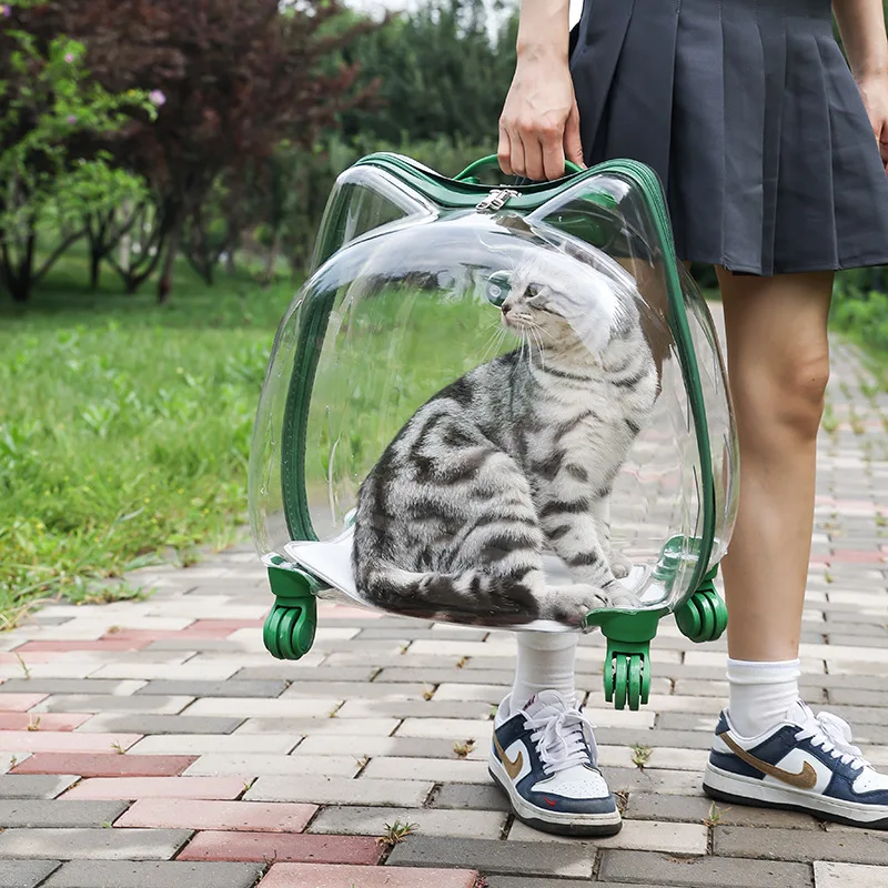Transportín transparente para mascotas, transportadores transpirables de viaje para gatos, bolsa para perros pequeños y gatos de gran capacidad con asa de rueda, suministros para mascotas y gatitos - imagen 3