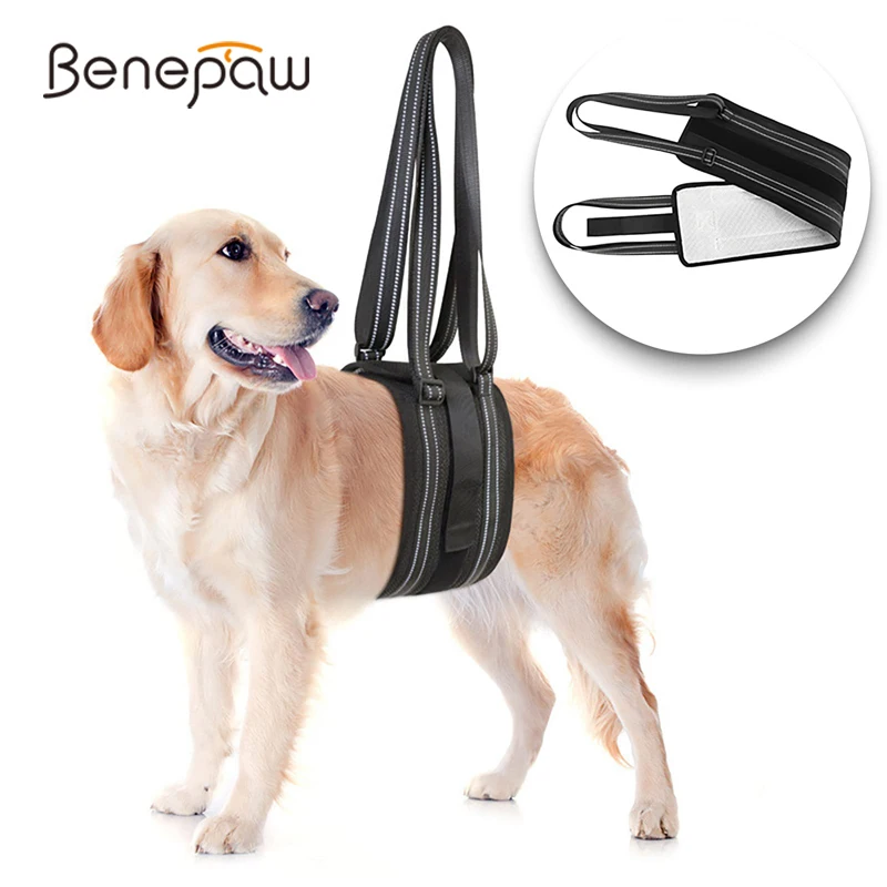 Benepaw arnés elevación perros soporte patas traseras suave mascotas ayuda
