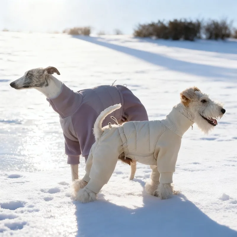 Abrigo de invierno para perros Whippet y Fox Terrier - imagen 2
