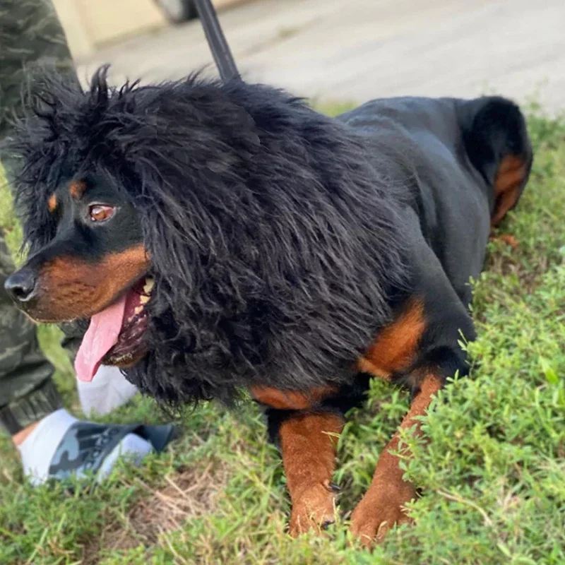 Melena de pelo de León con cola para perros de tamaño mediano a grande, máx. 80cm, circunferencia de la cabeza, gorro de Cosplay para mascotas, bufanda - imagen 4