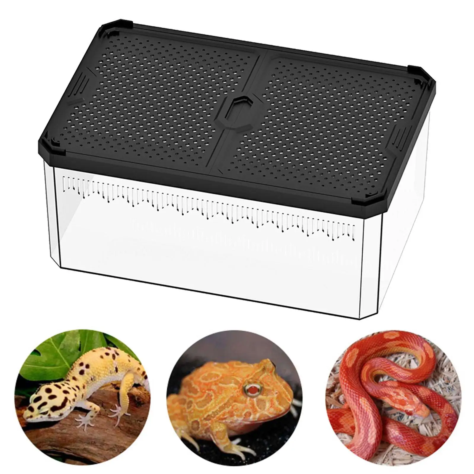 Reptile Feeding Box Aquarium Fish Breeding Box with Vents Reptile Container Display Box Clear Breeding Box for Gecko Scorpion