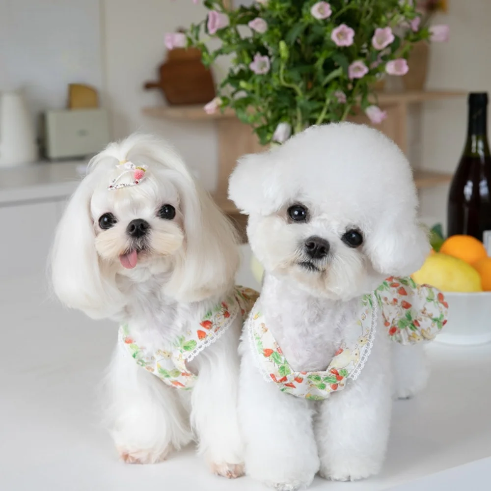 INS-vestido de tirantes con estampado de fresas para mascotas, falda de encaje, vestido de peluche para perros y gatos, ropa para cachorros, ropa para perros - imagen 2