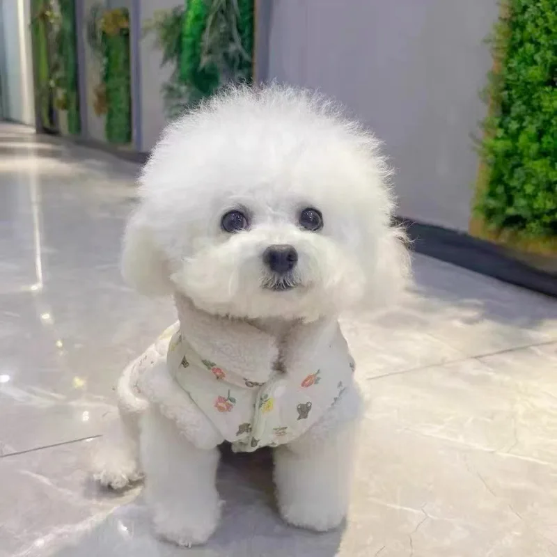 Ropa cálida de invierno para perros, vestido de algodón con flores de peluche para cachorros, abrigo grueso y cálido para pies de cachorro, cárdigan de moda para mascotas XS-XL - imagen 3