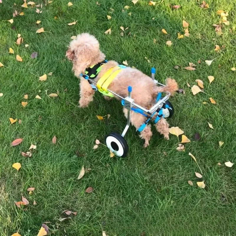 Silla de ruedas para perros y gatos discapacitados con ajuste - imagen 4