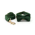 bow collar leash