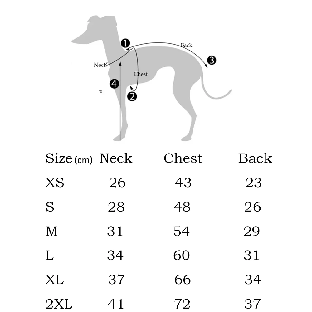 Chaqueta vaquera de invierno para galgo italiano vista frontal