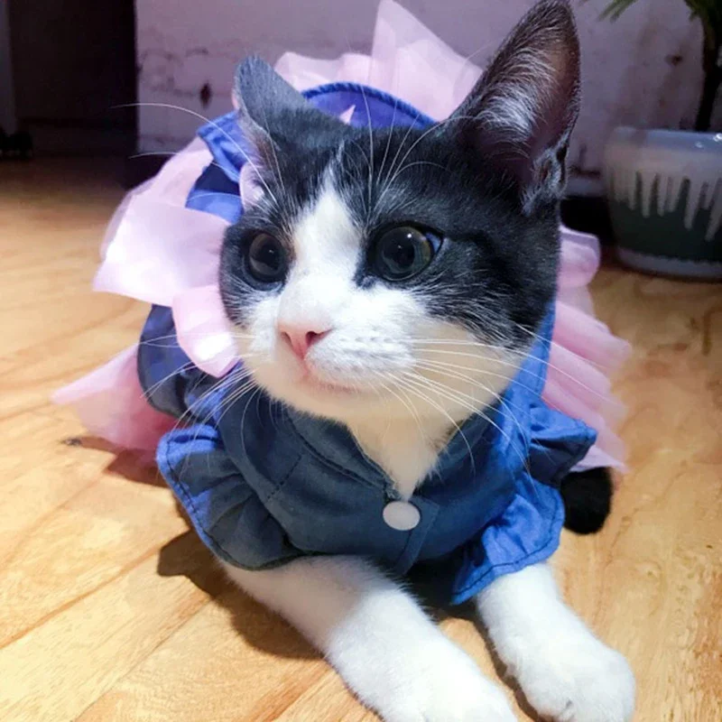 Primavera Verano ropa para mascotas dulce Denim gato cachorro vestidos para gatos perros pequeños gatito falda persa Sphynx ropa vestido de princesa - imagen 4