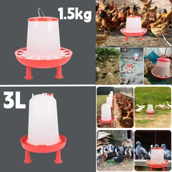Comedero rojo con tapa para pollos y patos