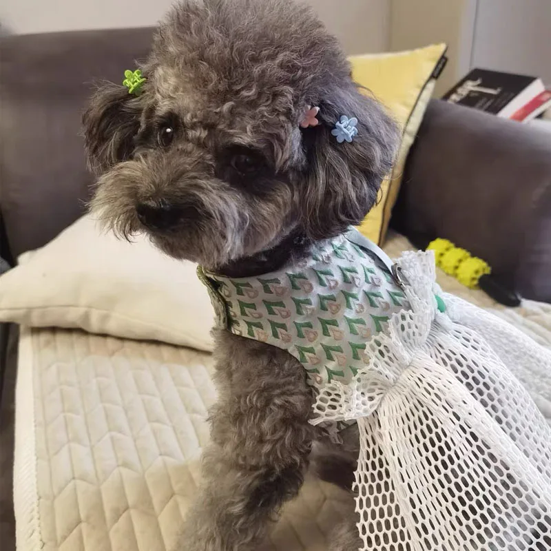 Arnés de malla verde para cachorros de princesa, ropa de verano para perros pequeños, correa para el pecho de perro bonito de lujo para caminar al aire libre, maltés de Pomerania - imagen 4