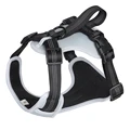 Grey Dog Harness
