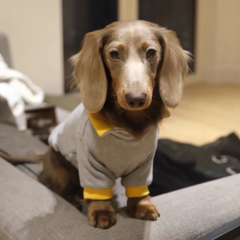 Ropa de primavera para perros con salchicha, suéter para perros Wiener de 2 patas para perros pequeños, medianos y grandes, ropa para perros de tejón, camiseta para perros - imagen 4