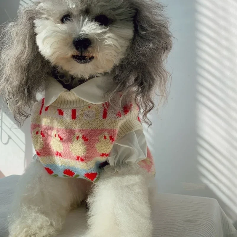 Suéter Floral para perros, ropa de algodón para mascotas, disfraz para perros pequeños, estampado de Bulldog Francés, cálido, rosa, Invierno - imagen 2