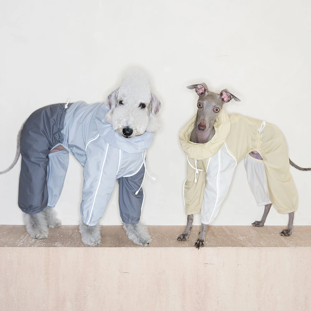 Chaqueta de Verano para Galgo Italiano UPF50+ Impermeable y Ligera - imagen 5
