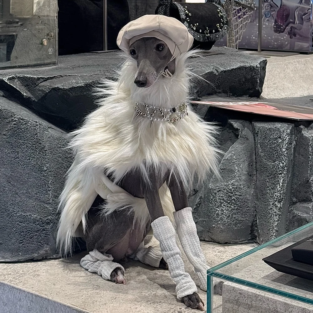 Abrigo de felpa para Galgo Italiano y Whippet – Suéter blanco invierno - imagen 2