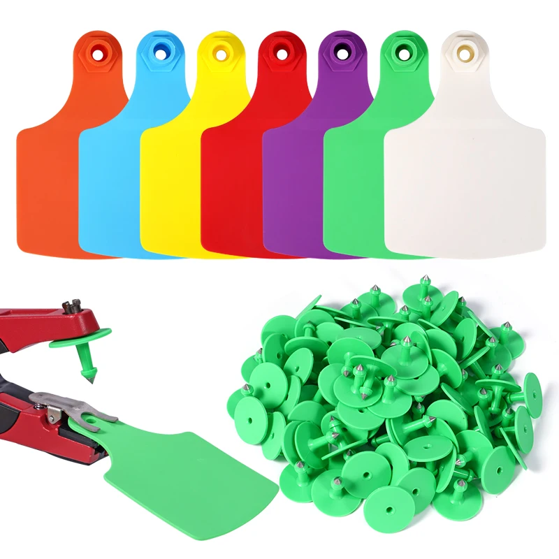 100 Uds etiqueta de oreja de vaca tamaño grande 105x75mm etiqueta de tarjeta de identificación de animales sin palabras ganado etiqueta de oreja marcador señalización