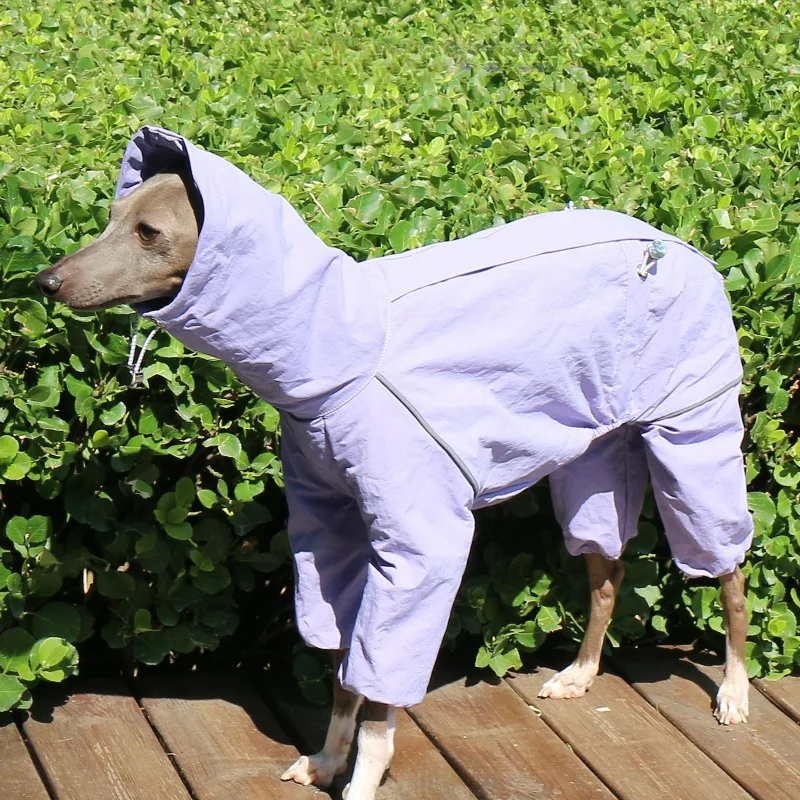 Abrigo impermeable de verano para galgo y whippet – cuello alto - imagen 2