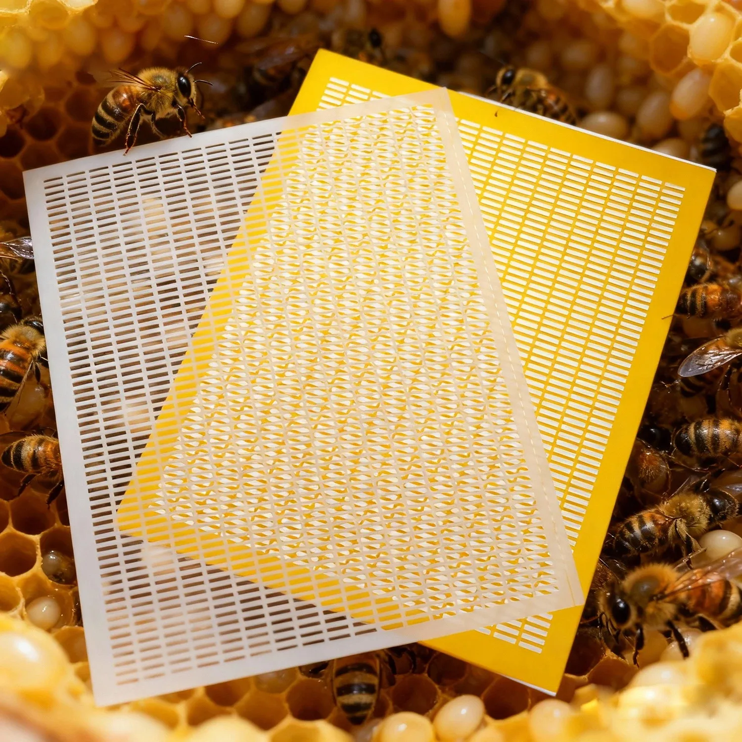 Marco excluidor de reina de apicultura, malla de plástico, barrera de abeja y reina, separación antiescape, herramienta de red de captura, tablero separado, 1 ud. - imagen 2