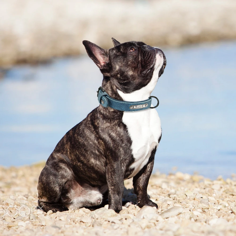 Collar personalizado para perros de cuero PU con grabado de nombre - imagen 5
