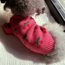 Suéter de invierno con cerezas para perros pequeños – Cálido y estiloso