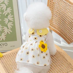 Disfraz de encaje elegante para perros y gatos