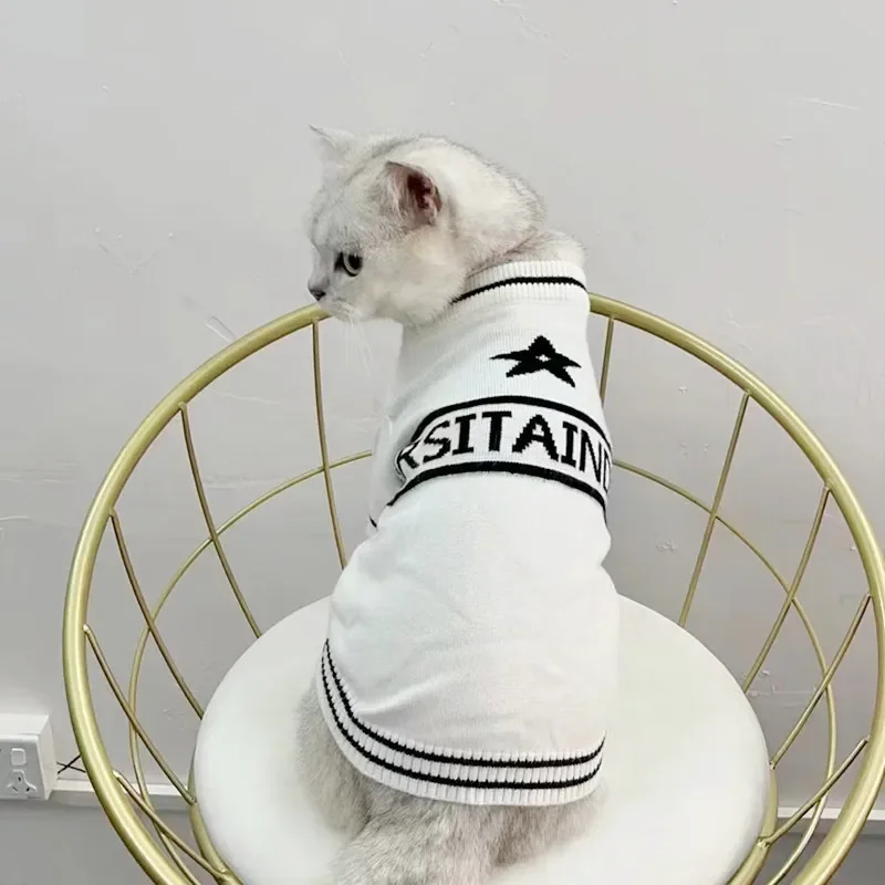 Pet Chunqiu Tide marca Color sólido tejido cálido suéter Teddy ropa pequeña cómoda - imagen 2