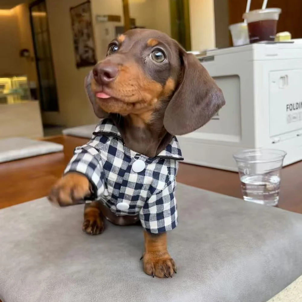 Pijama de cuadros para perros pequeños – Ideal para Dachshund - imagen 3