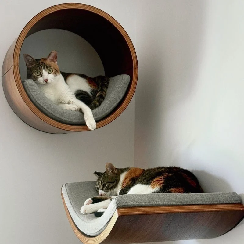 Juego de muebles de madera para gatos, hamaca de fieltro de árbol para gatos montada en la pared, casa para gatos, parque infantil de escalada - imagen 3