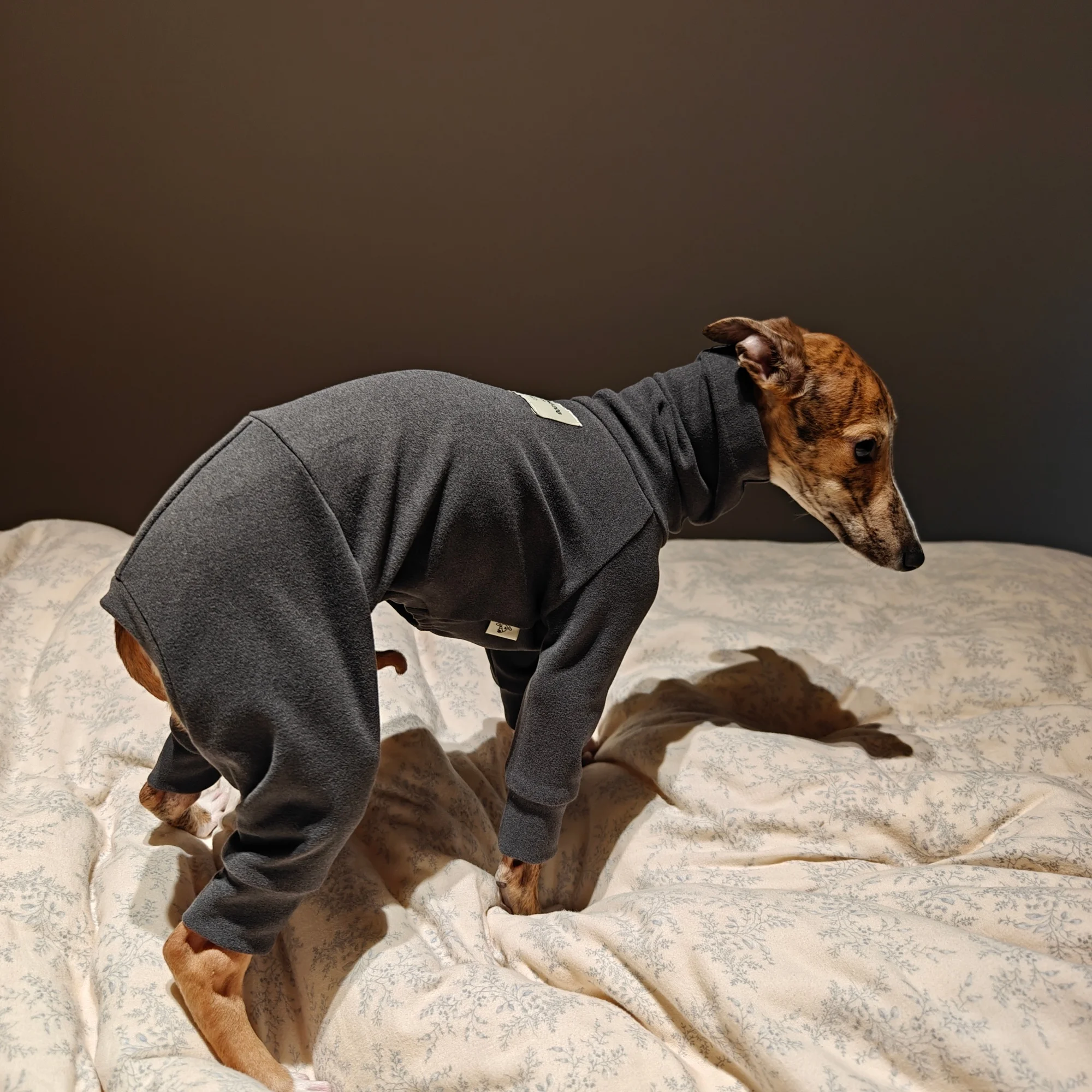 Mono de cuello alto – Abrigo polar para Whippet y Galgo Italiano - imagen 3