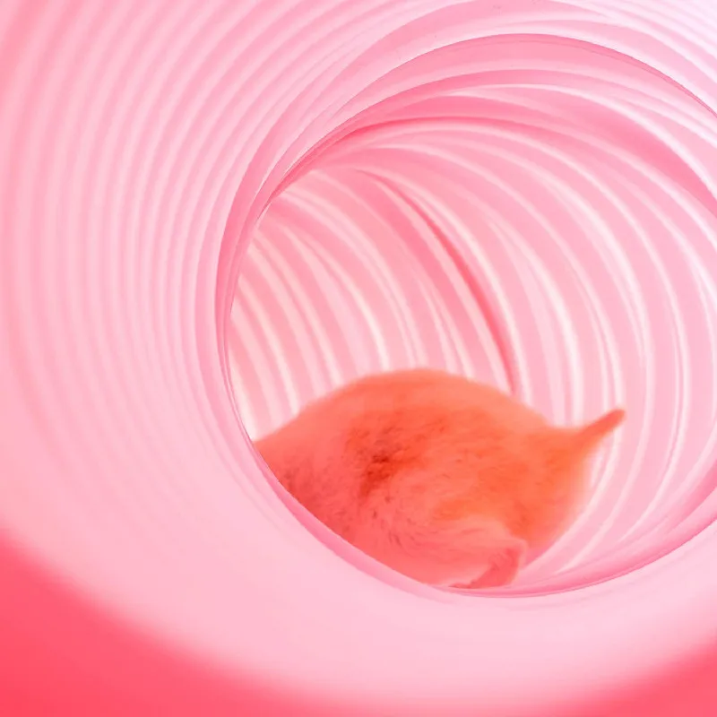 Jaula de túnel de hámster para mascotas pequeñas, tubo oculto, entrenamiento en interiores, tubería de escondite DIY, juguetes de casa, hurones, juego de ratas, moda - imagen 3