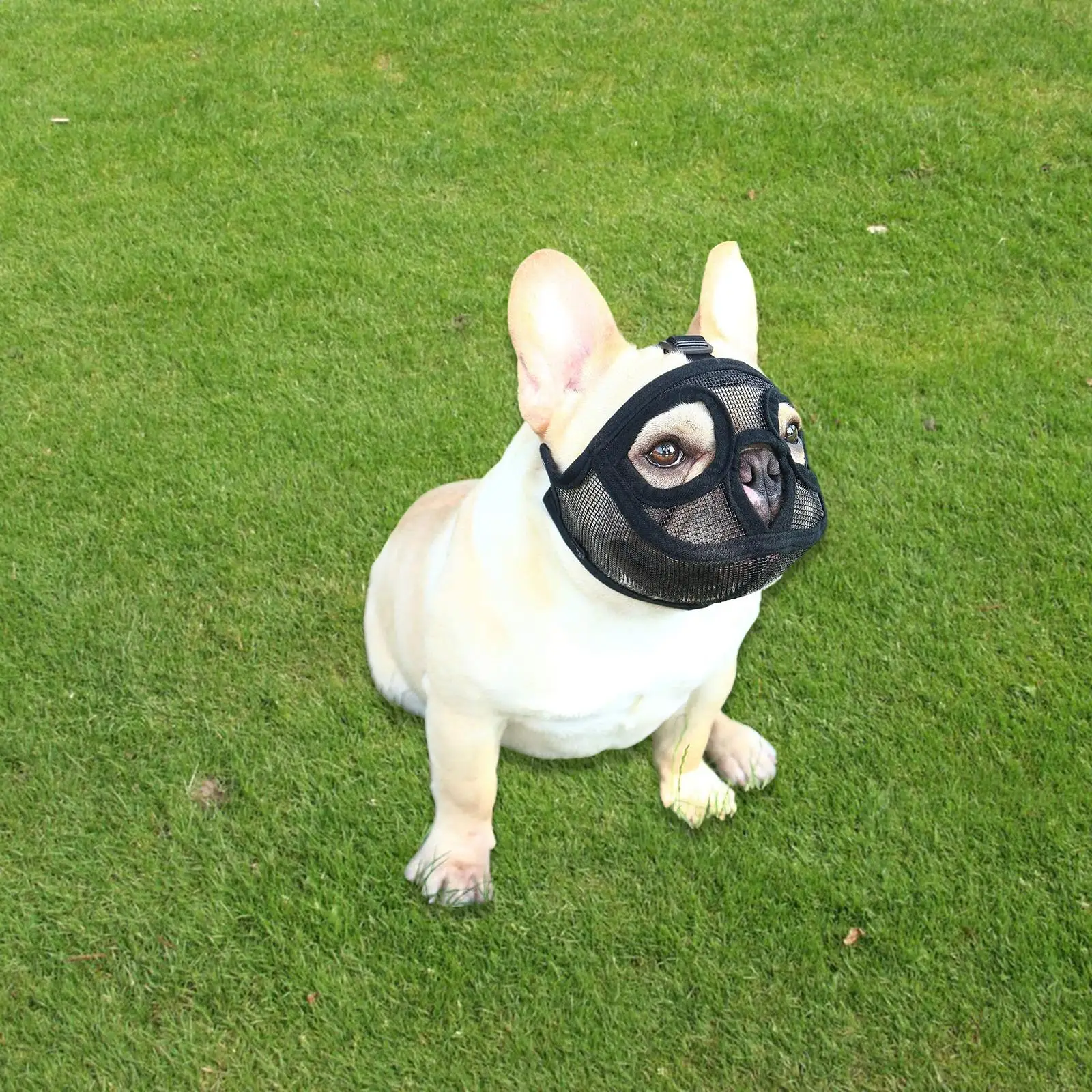 Short Snout Dog Muzzle Muzzle, Stop Dog for Biting Barking Chewing,