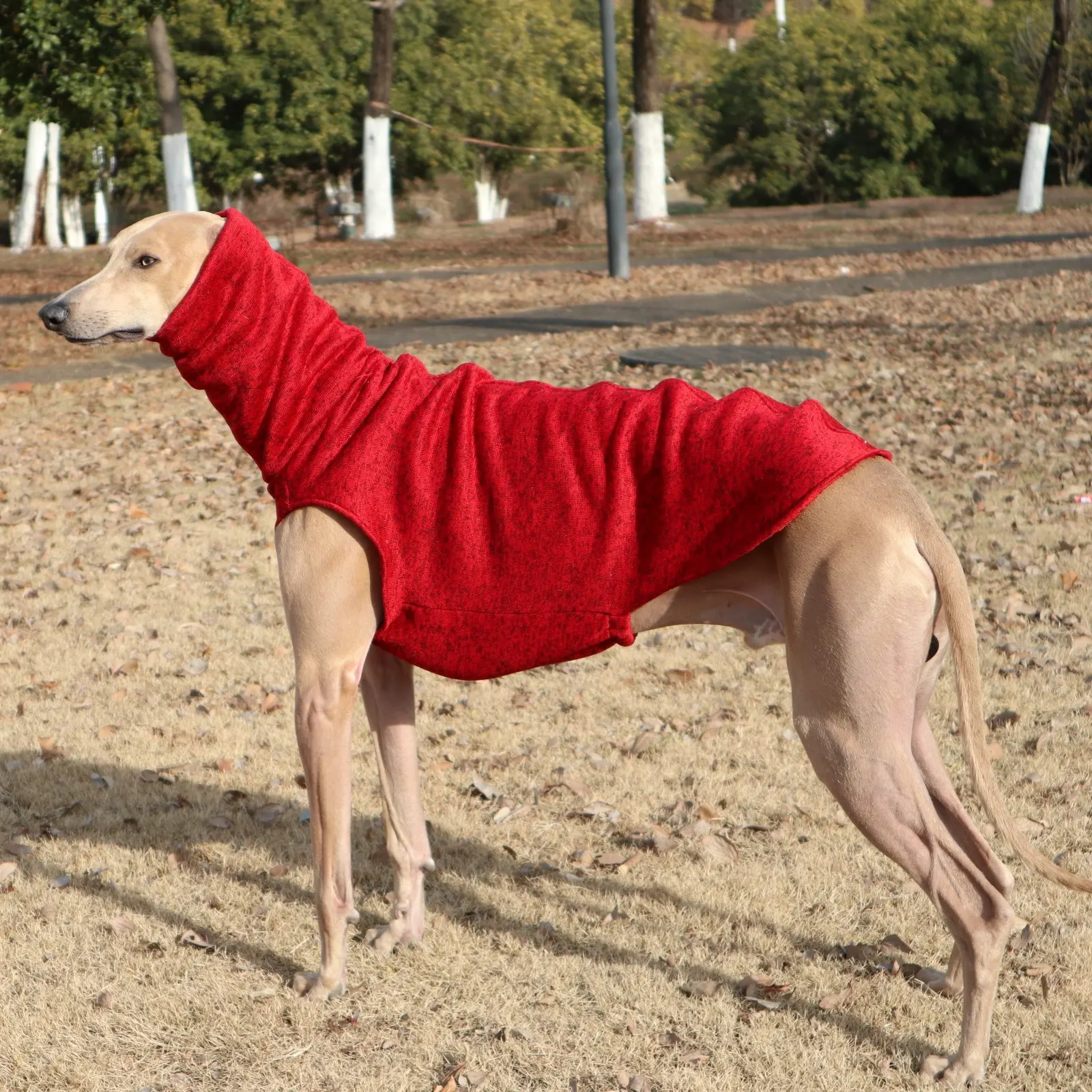 Chaleco polar rojo sin mangas para perros Whippet y Galgo Español - imagen 2