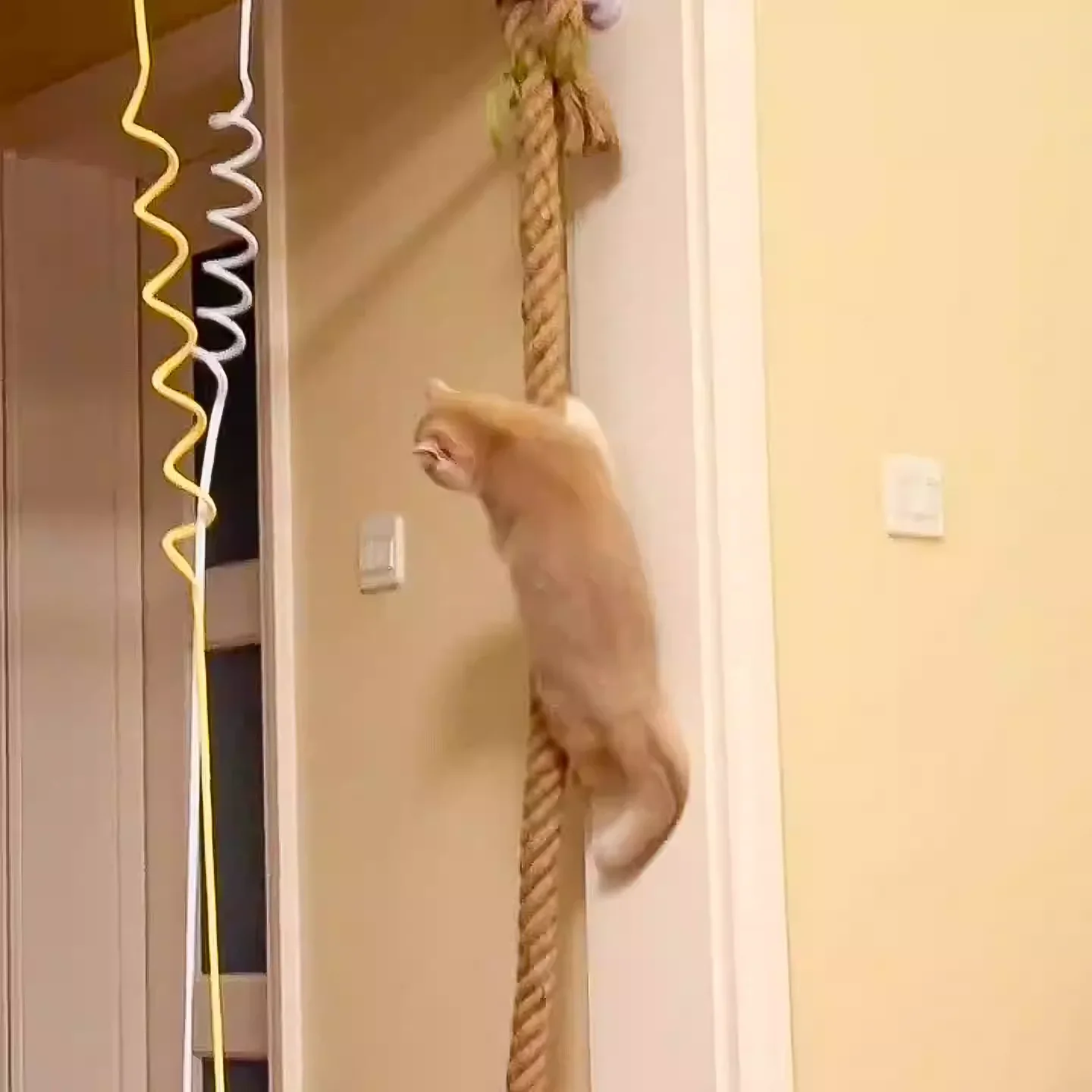 Poste rascador de pared con sisal y escalones de madera para gatos - imagen 2