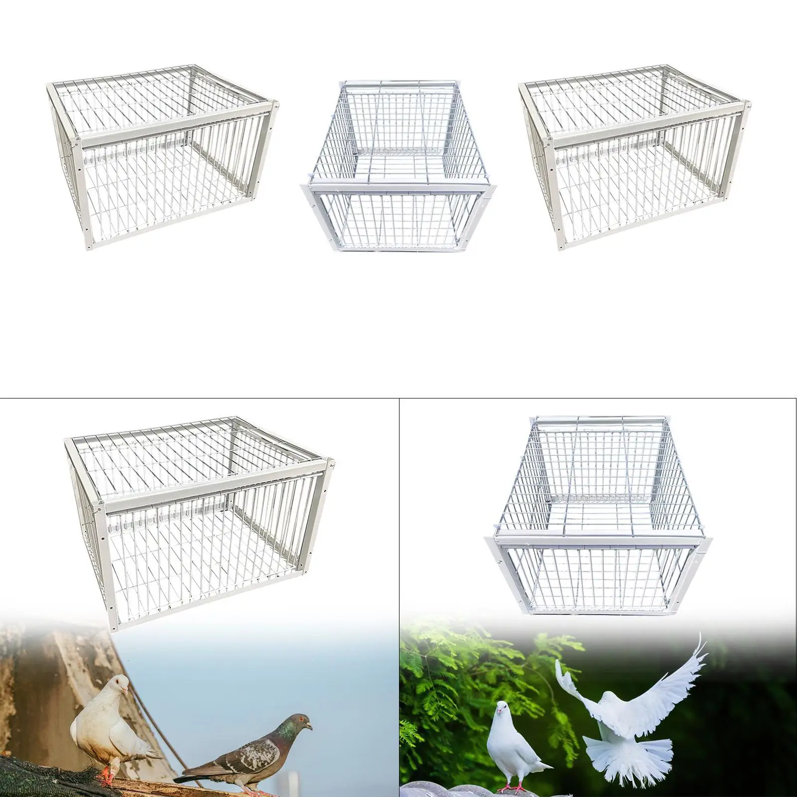 Pigeon Bird Trap Cage Automatic Pigeon Collection for Chicken Sparrows Feral