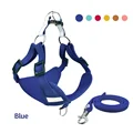 Chest straps - Blue