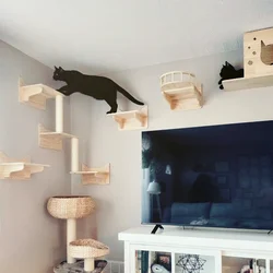 Hamaca montada en pared para gatos con sisal y perchas trepadoras