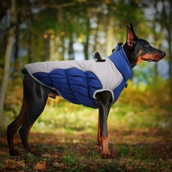 Chaqueta impermeable para perros – Abrigo de invierno Bulldog y Golden
