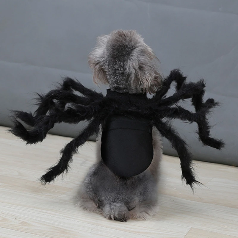 NONOR Halloween Dog Cat Clothes Pet Cosplay Funny Spider Costume Halloween Party Costumes for Small Medium Dog Cat Costumes - imagen 3