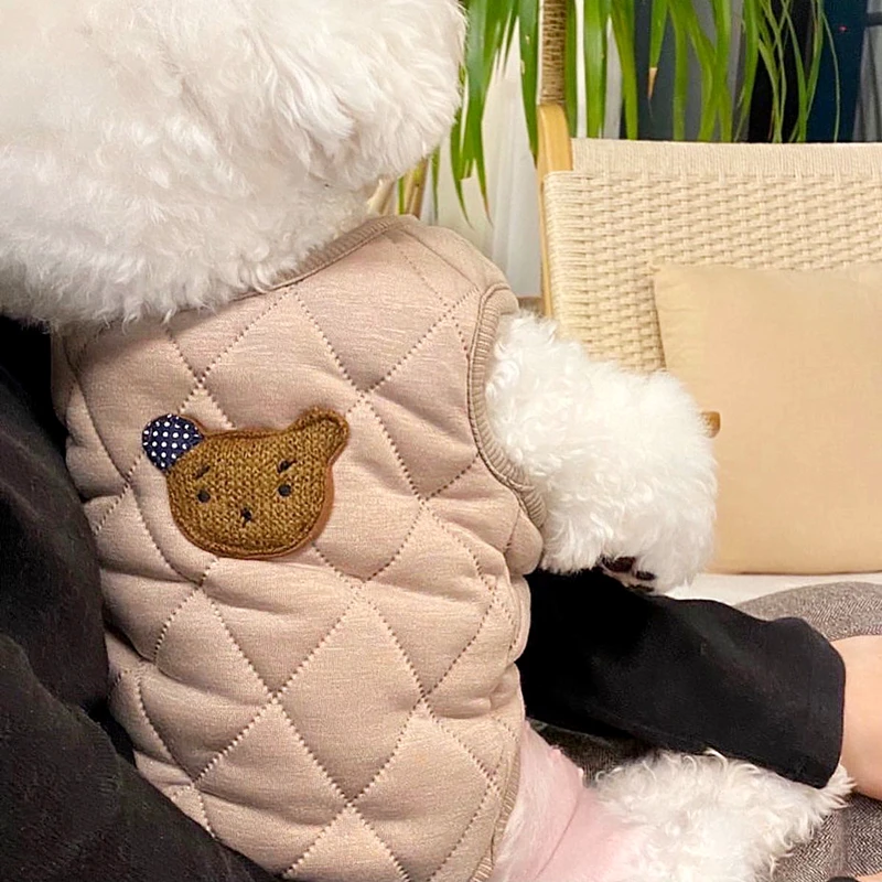 Bichon-ropa de algodón para perros y gatos, chaqueta gruesa y cálida de oso bonito para otoño e invierno, suministros para mascotas - imagen 2