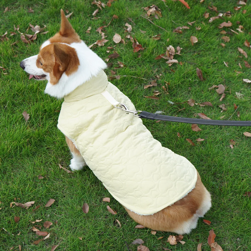 Nueva ropa de algodón para mascotas, ropa de terciopelo para perros de otoño e invierno, ropa cálida para perros pequeños, ropa de Corgi que se puede remolcar, productos para mascotas - imagen 3