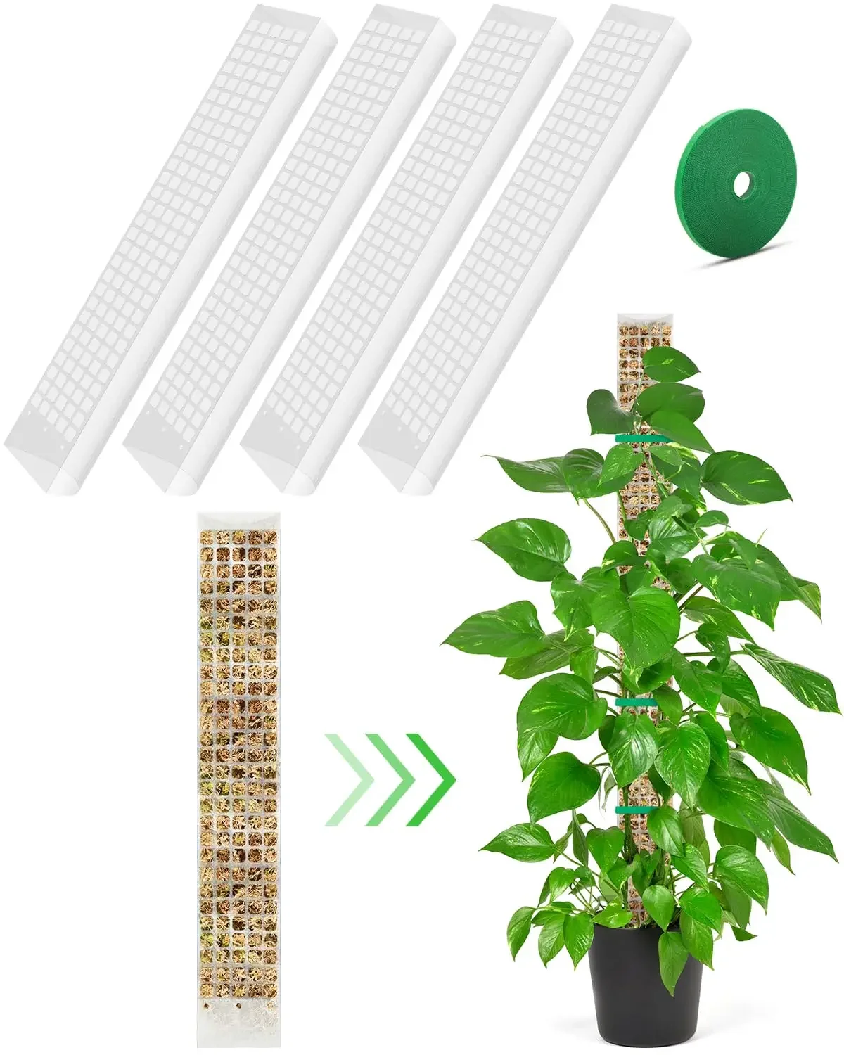 Plantas de jardín con soporte para el crecimiento de plantas, accesorios de bonsái, tutores, poste de musgo, trepadores de flores - imagen 5