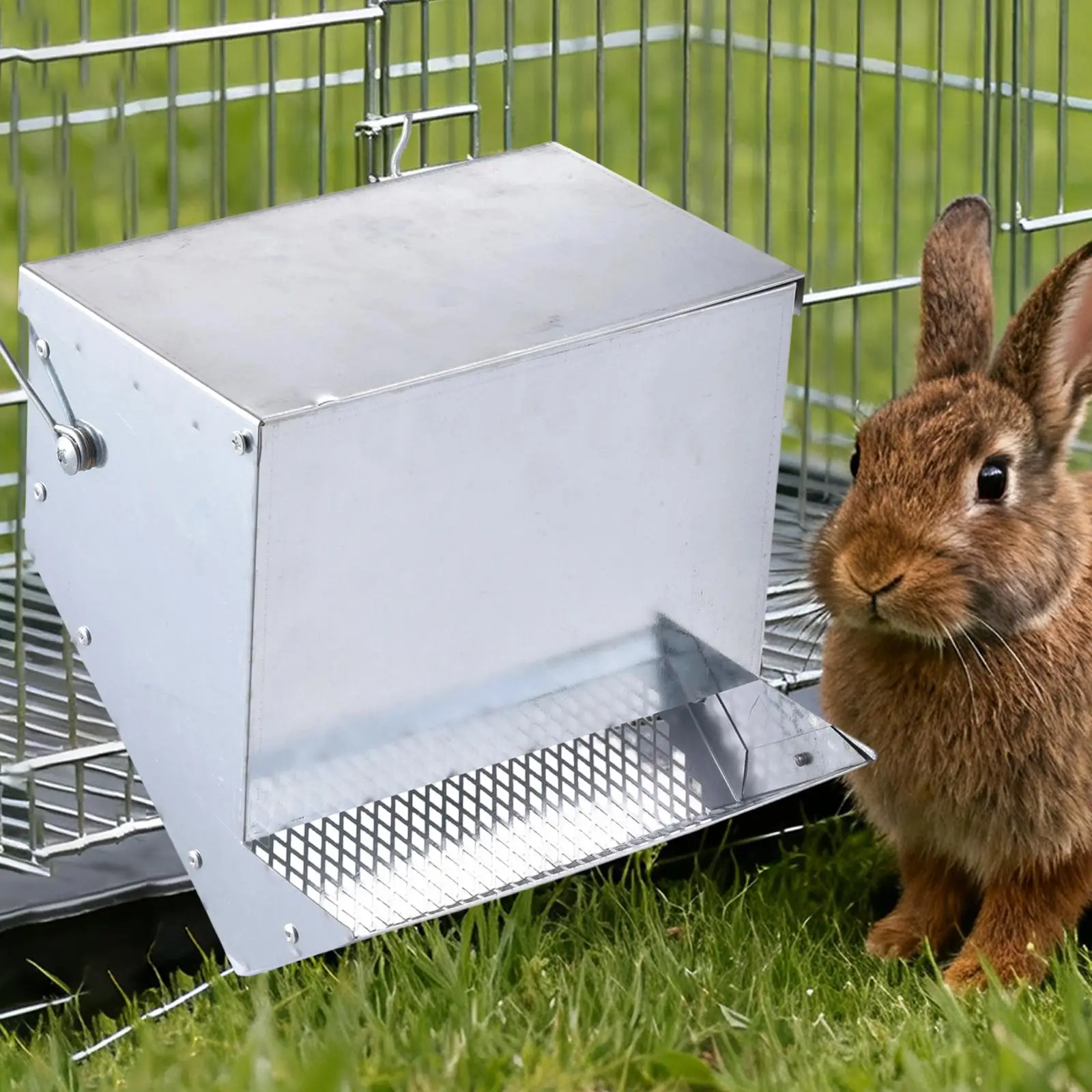 Comedero para animales, tamiz, jaula inferior, alimentador para conejos, accesorios dispensadores de alimentos para pollo, erizo, conejillos de indias, otros animales pequeños - imagen 3