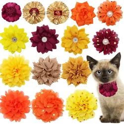 Collar pajarita naranja para perro – Fiesta Acción de Gracias