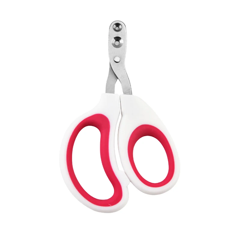 Single hole rose red